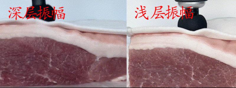 爆红网络的多款筋膜枪对比评测,主流筋膜枪对比