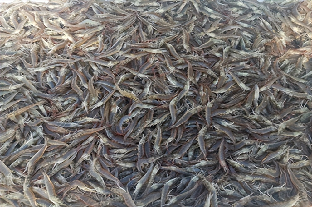 农垦品牌产品有哪些牌子,中国农垦旗下品牌