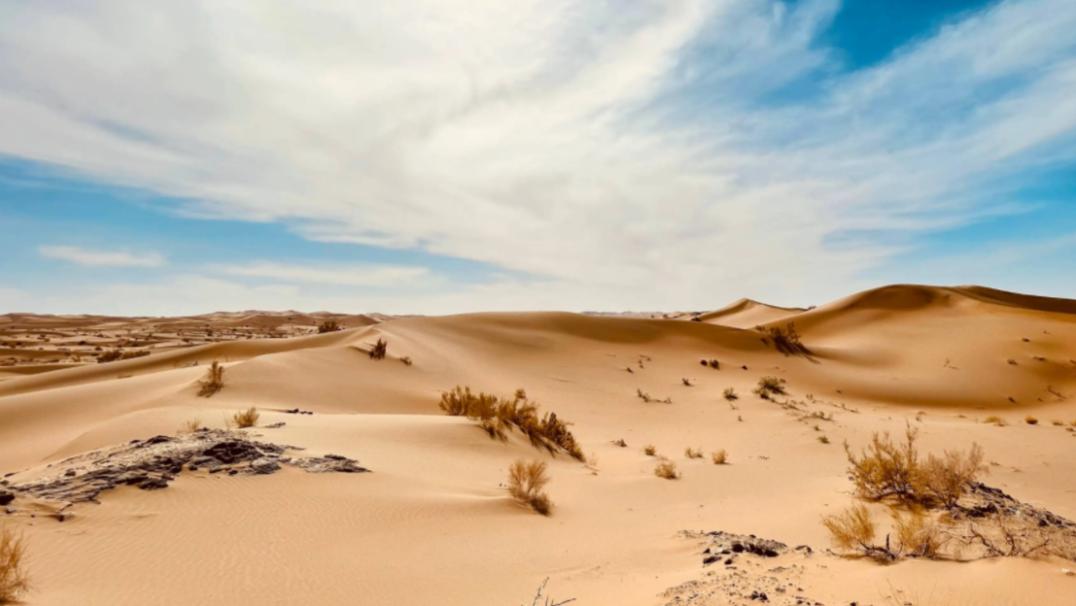 戈壁西瓜的危害究竟有多大,戈壁西瓜禁止种植了吗