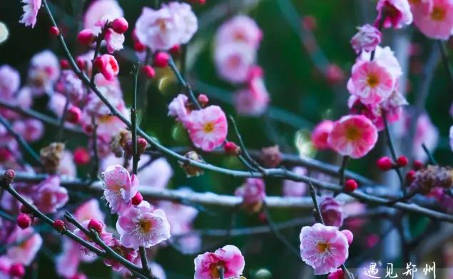 老同学北京日记，生动有趣，很值得一看