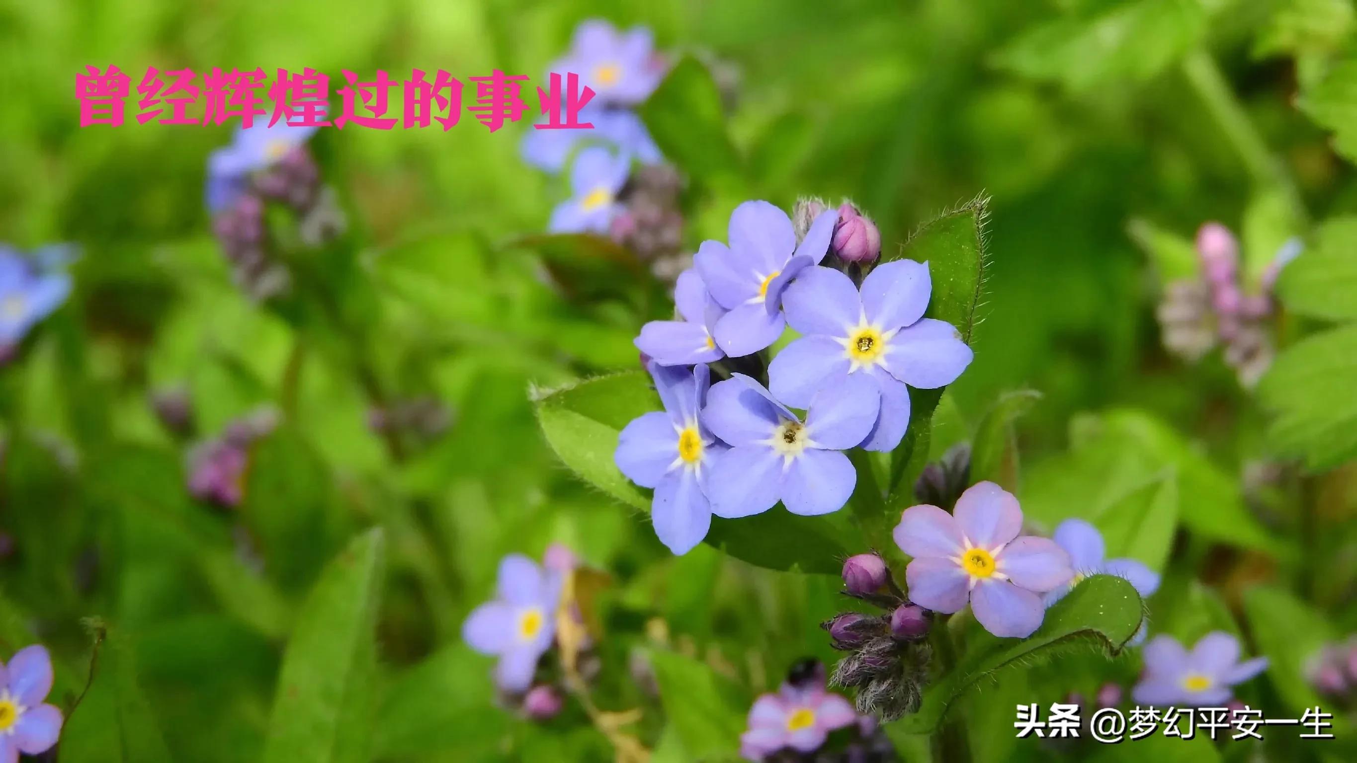 供销社出路,供销社的经历和感受