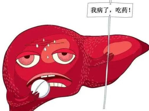 肝囊肿如何护肝养肝,肝经淤堵脂肪肝