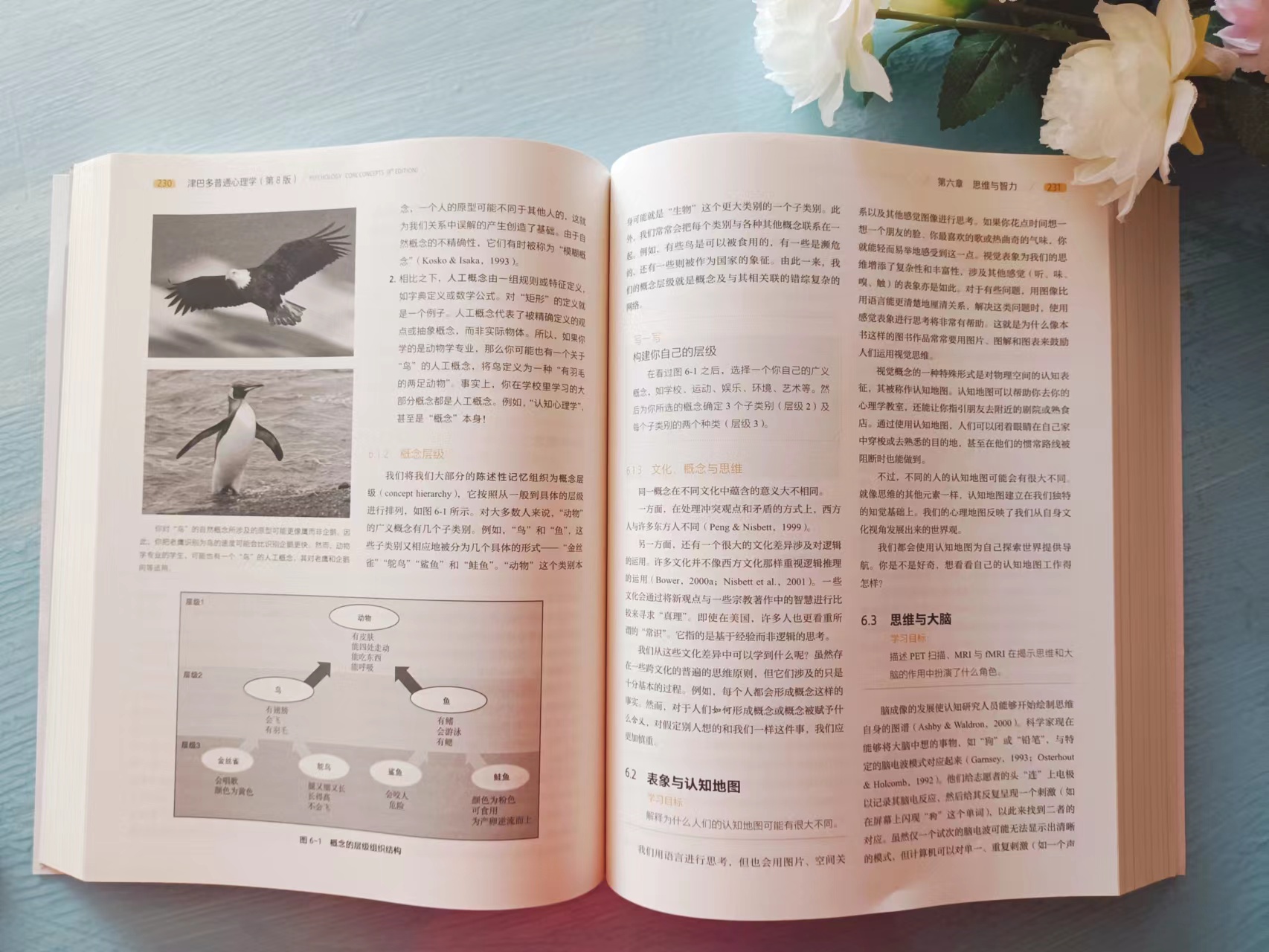 《津巴多普通心理学》：学习心理学不可错过的教材级别专业大书