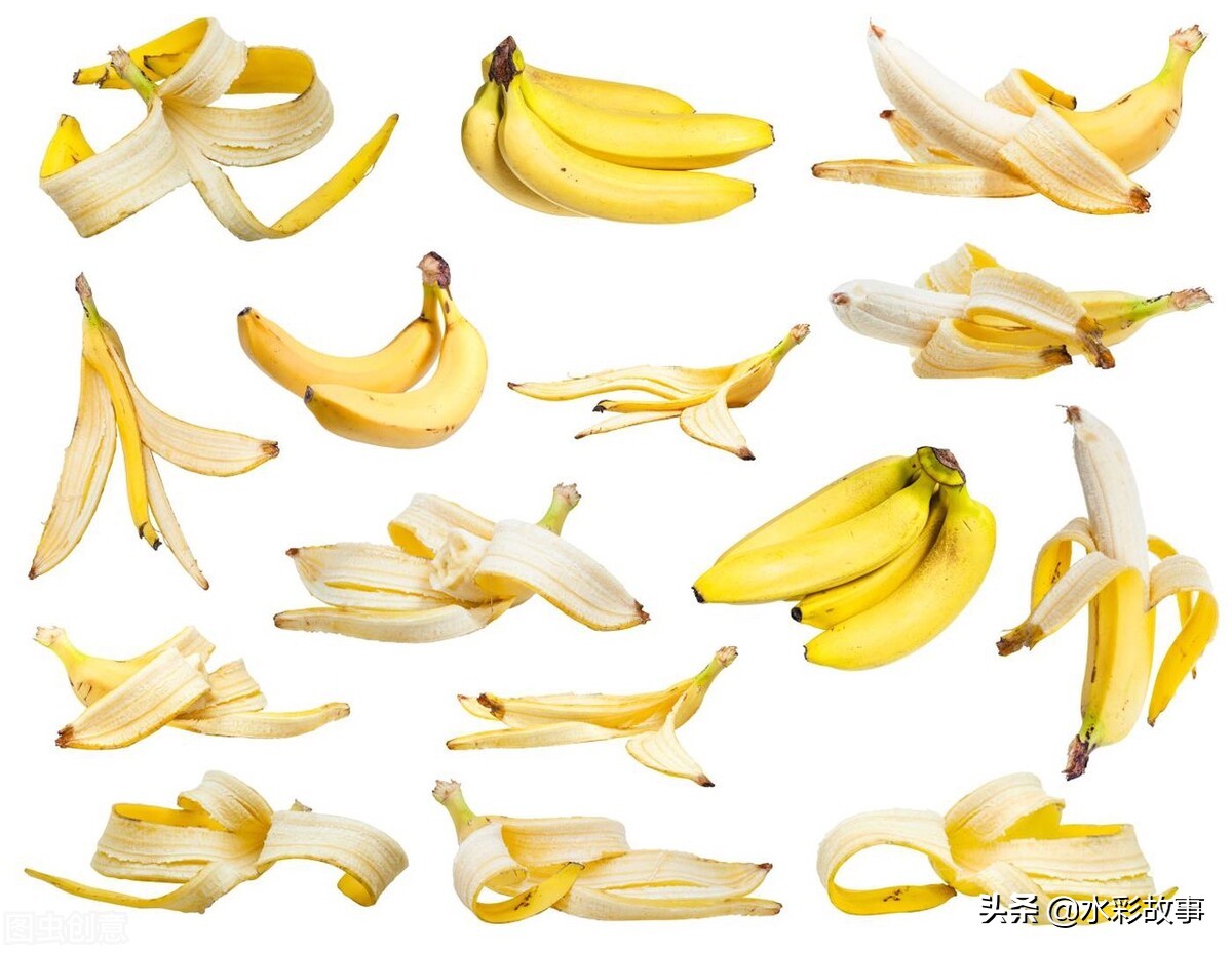 香蕉banana的由来,香蕉banana是啥