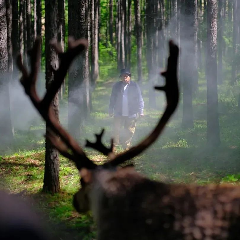 向北向北！|“美”在内蒙古