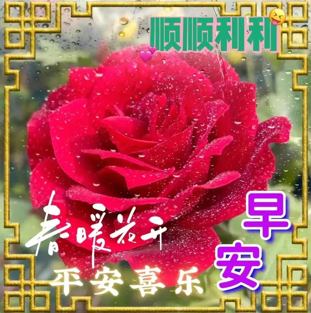 2023年02月27日星期一农历:癸卯年【兔年】二月初八八九第5天