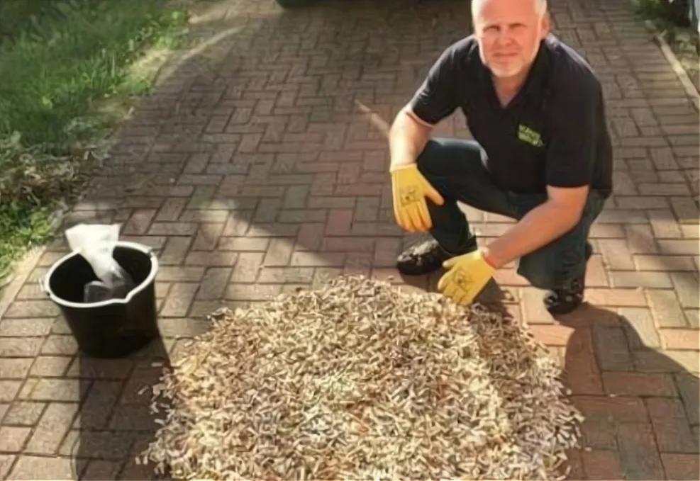 回收烟头是干嘛的,回收烟头是合法的吗