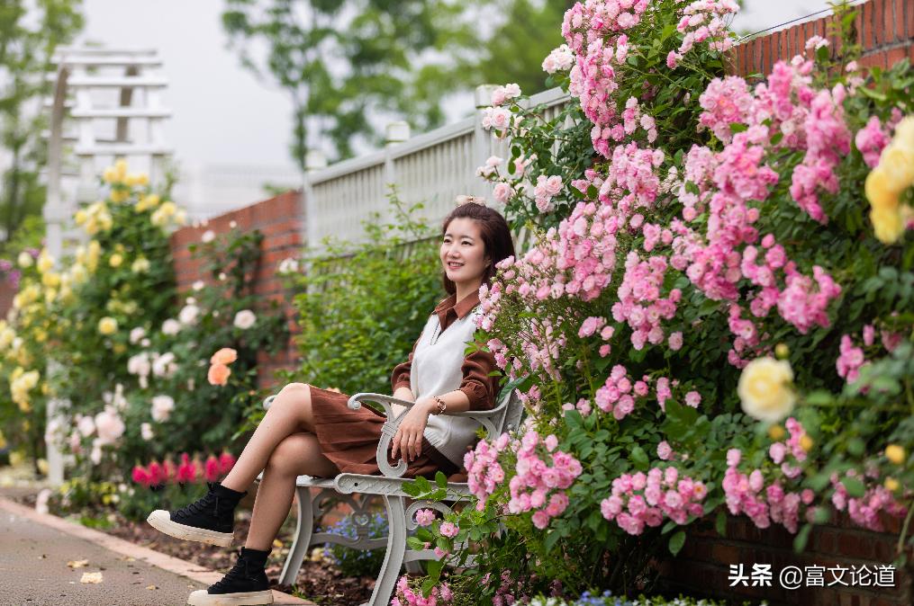 丰城花卉小镇杜鹃花海,丰城花卉小镇攻略