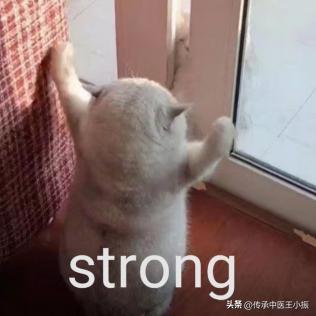 打通经络滋补肝肾的药方,老人补气血强筋骨经方