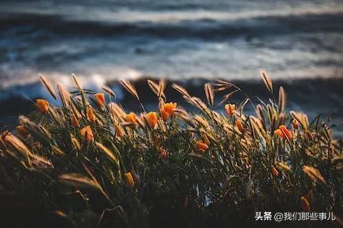 有种浪漫叫红颜知己,有一种情怀叫做红颜知己