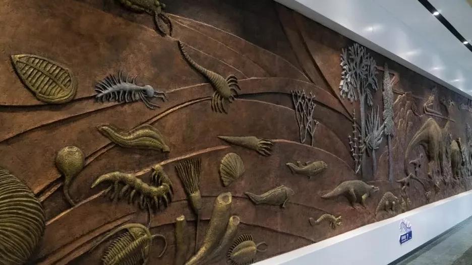 相约博物馆的感受,古生物博物馆南京