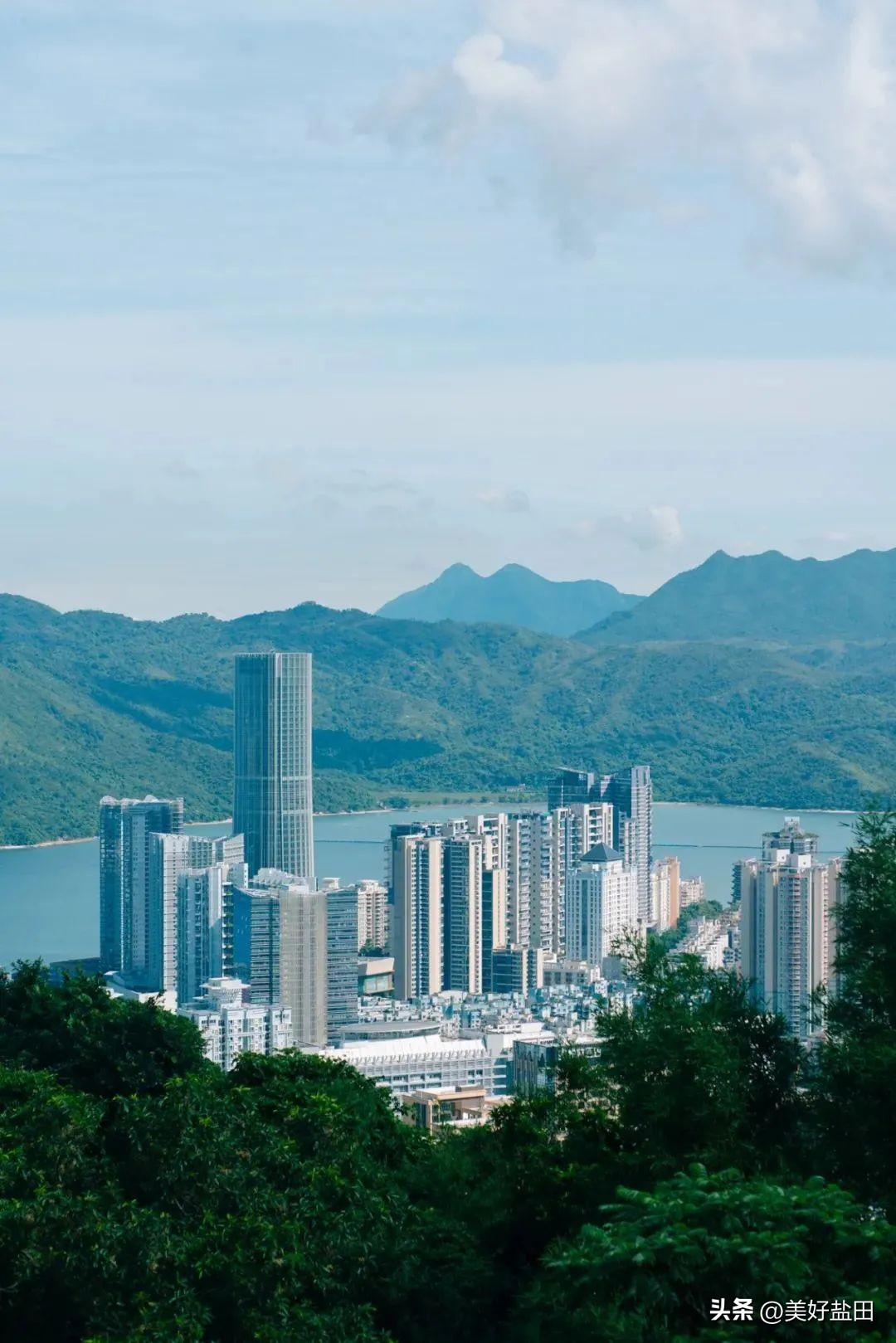 盐田出海记⑧|亿元大单尽显合作潜力深圳市领导率团赴南美开展“双招双引”成果显著