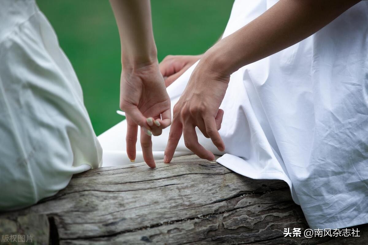 【光影佳年】海石花