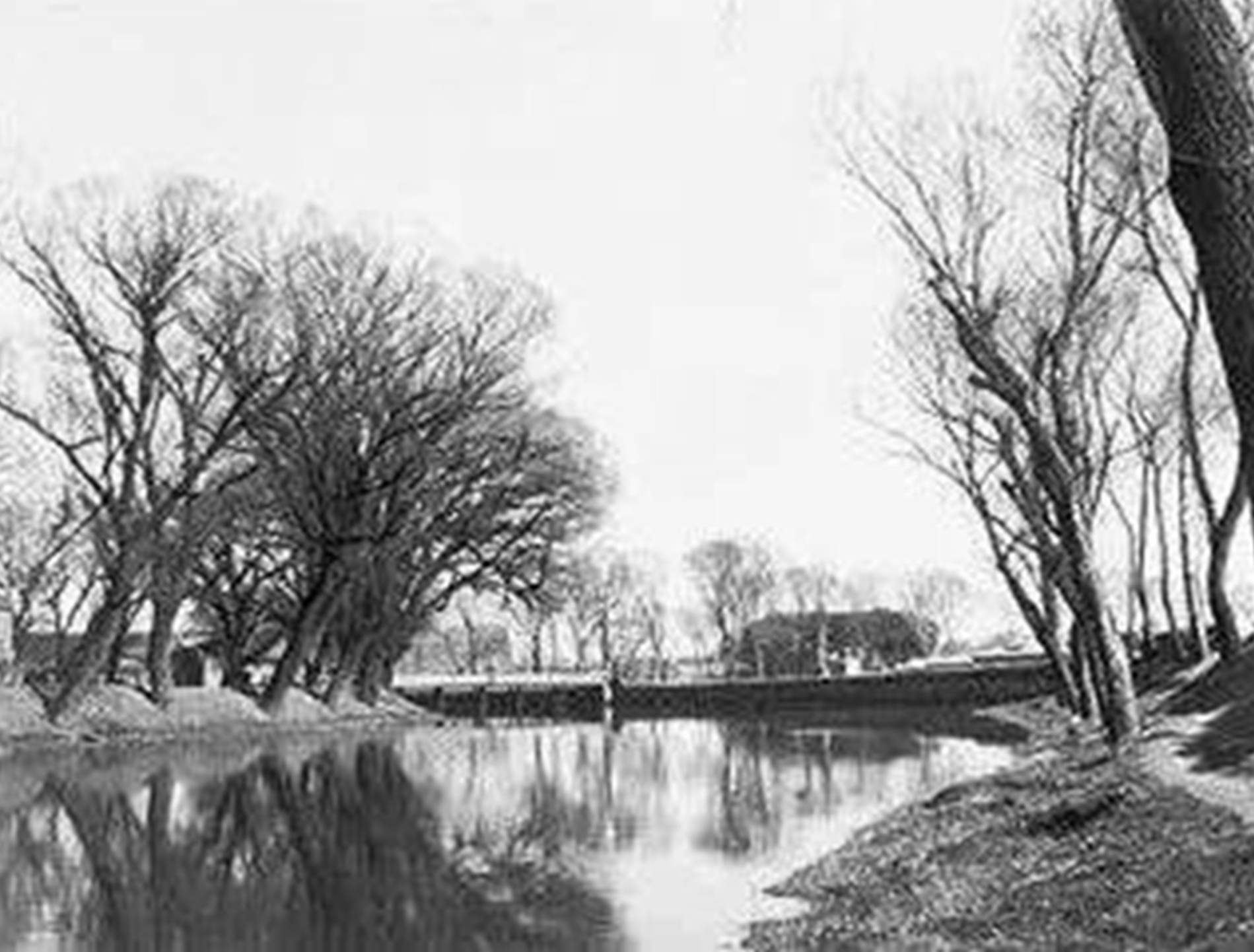 保定五中9：响应号召八中门前游泳，考入深池就靠蛙泳一姿