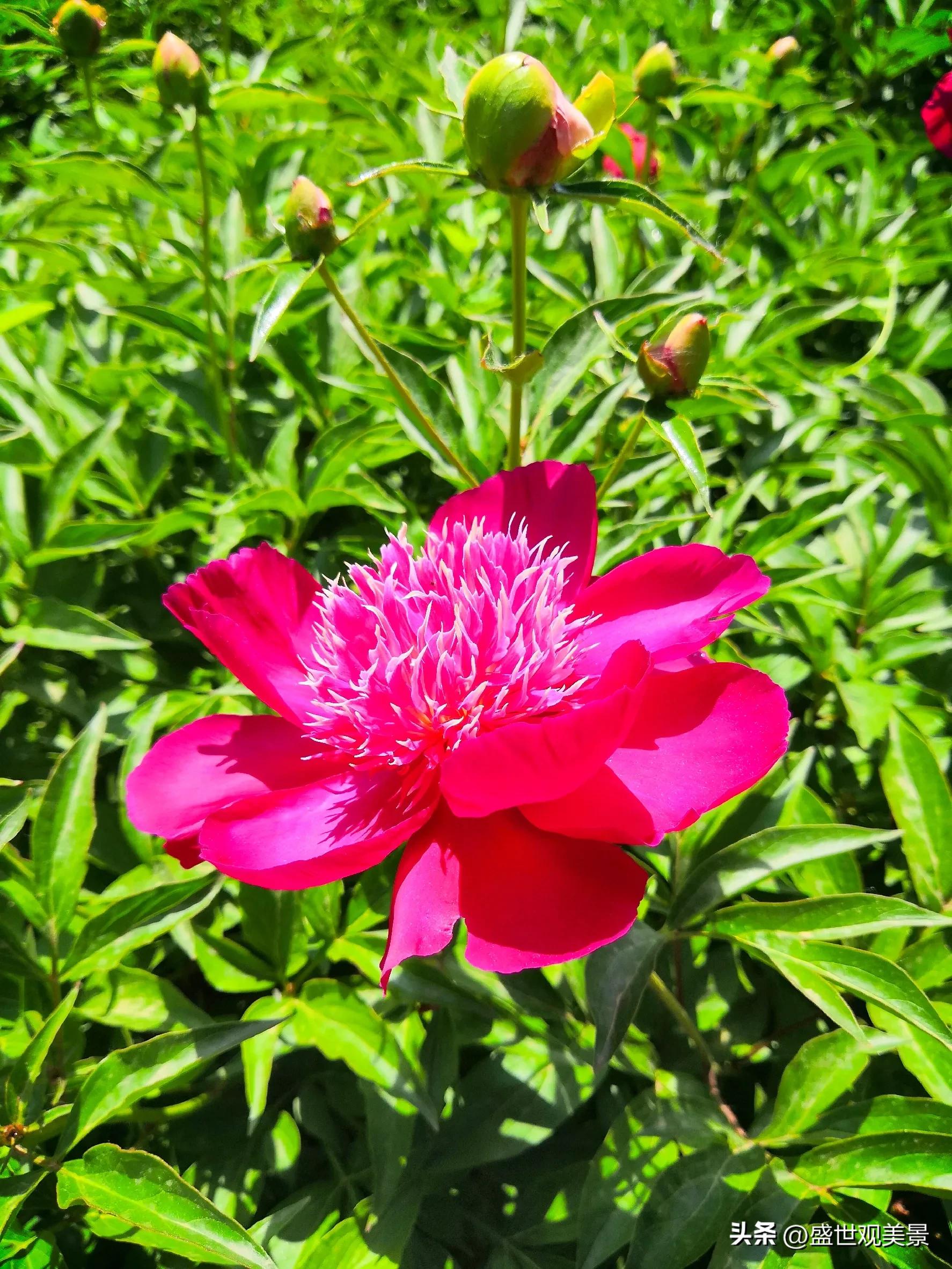 怎样找到头条的流量密码,头条原创文章怎么加推荐量