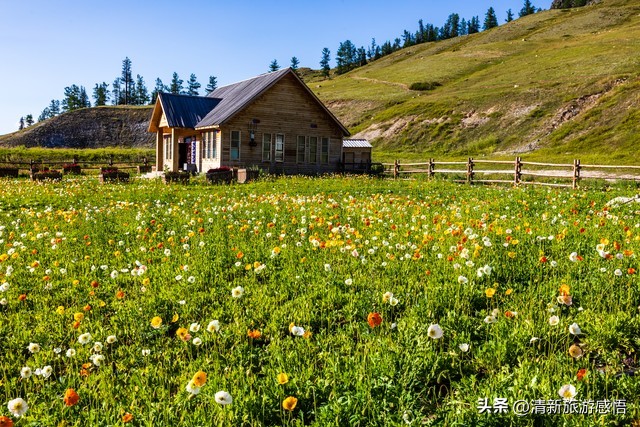 夏日内蒙古旅游攻略,夏天旅游注意事项及攻略
