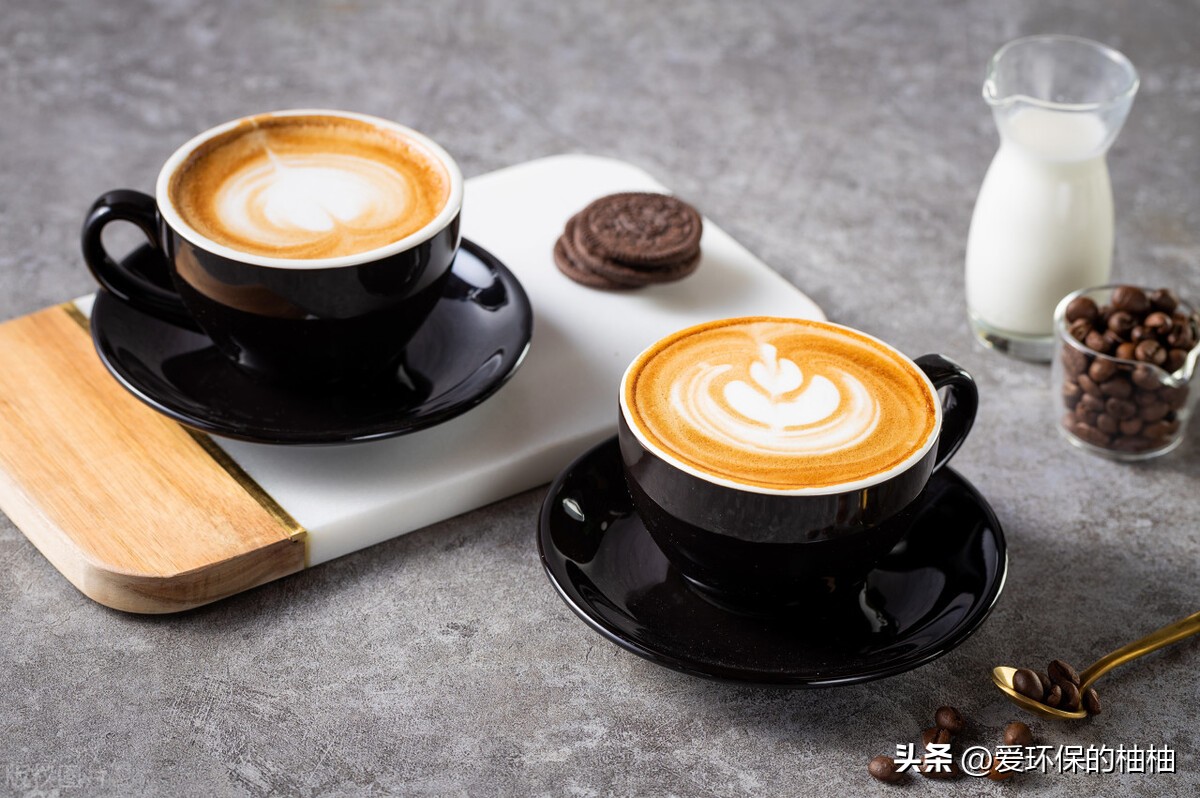 餐饮垃圾分类技巧,餐饮垃圾分类怎么投放