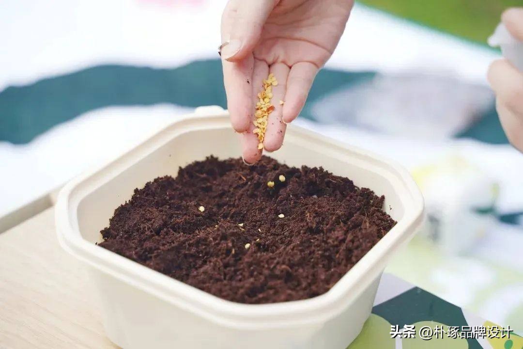 公司定制端午礼盒展示,公司端午礼盒造型