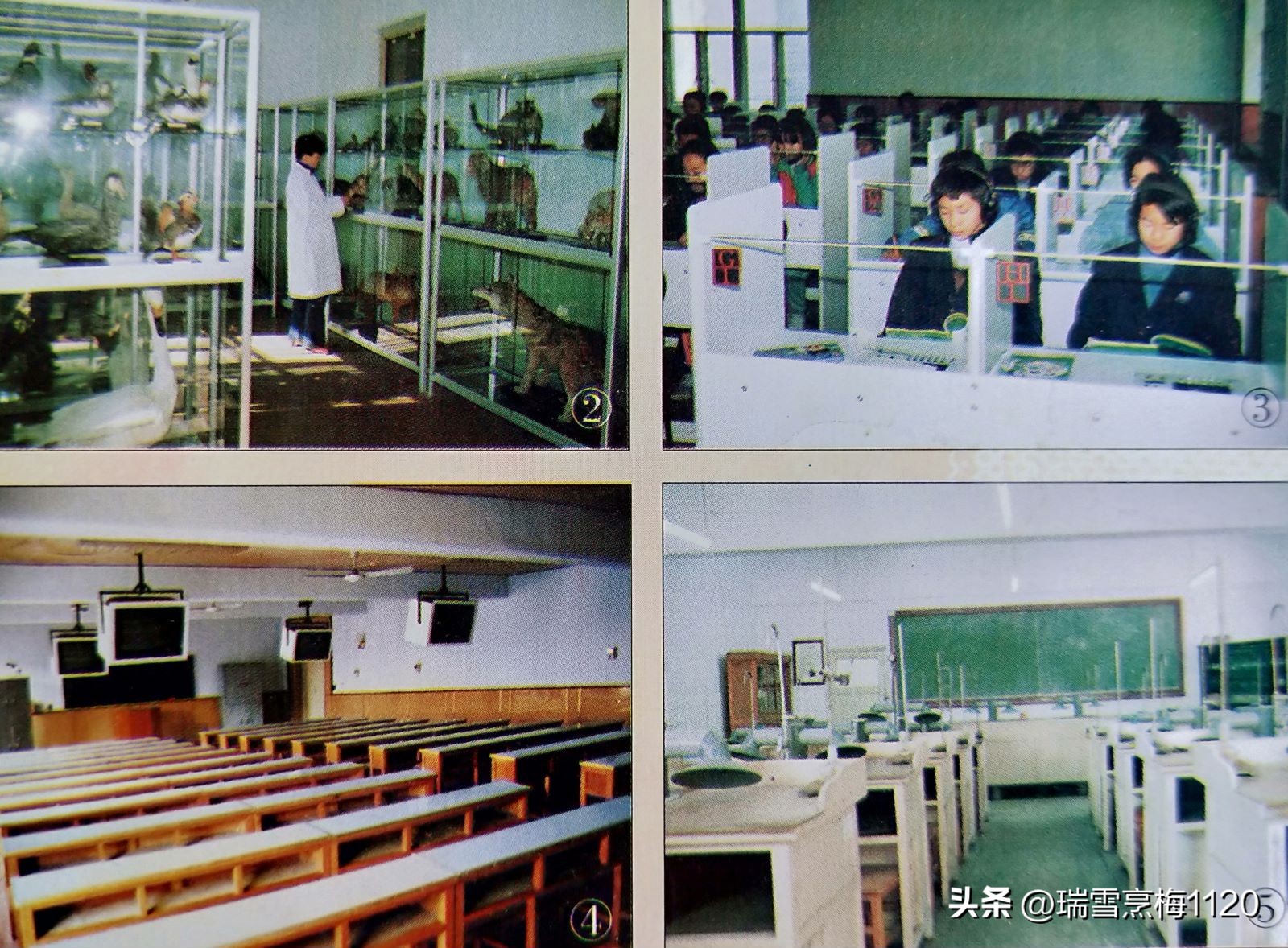 校史钩沉,钩沉历史图片