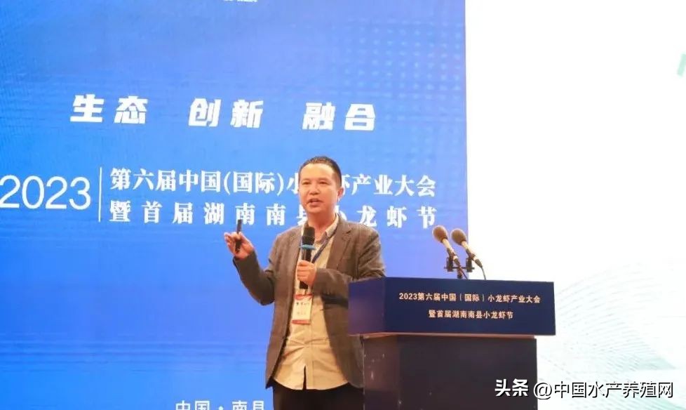 2023年南县小龙虾价格行情,南县小龙虾价格报价