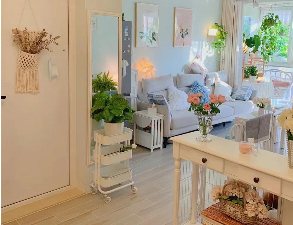 发现深圳一女孩，家里被鲜花和绿植包围，温柔又浪漫，太治愈