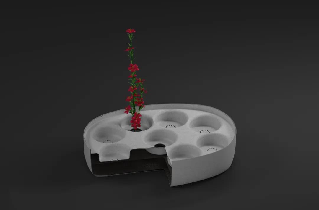 特别有创意的食品包装,可重复利用的食品包装