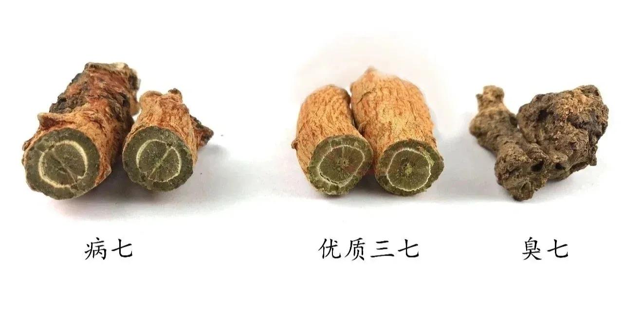 甯歌浼姡浜у搧,甯歌鍔h嵂