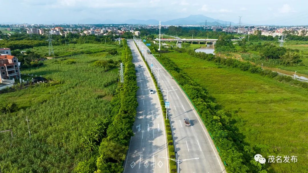 绿美广东信宜,绿美广东茂名短视频