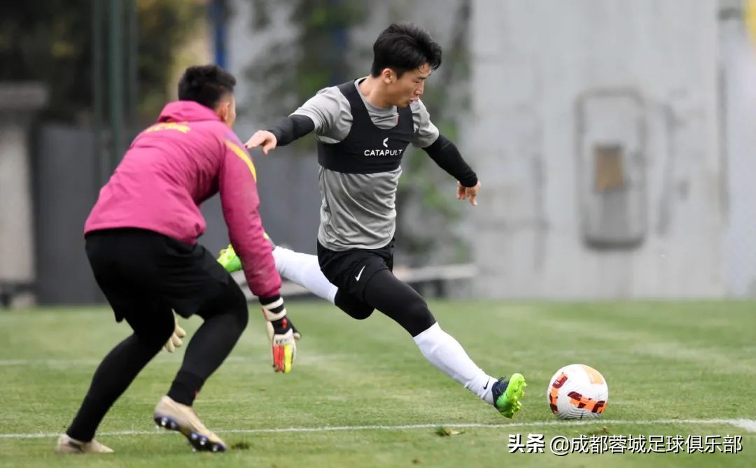 成都蓉城足球俱乐部新赛季前瞻,成都蓉城足球俱乐部最新引援消息