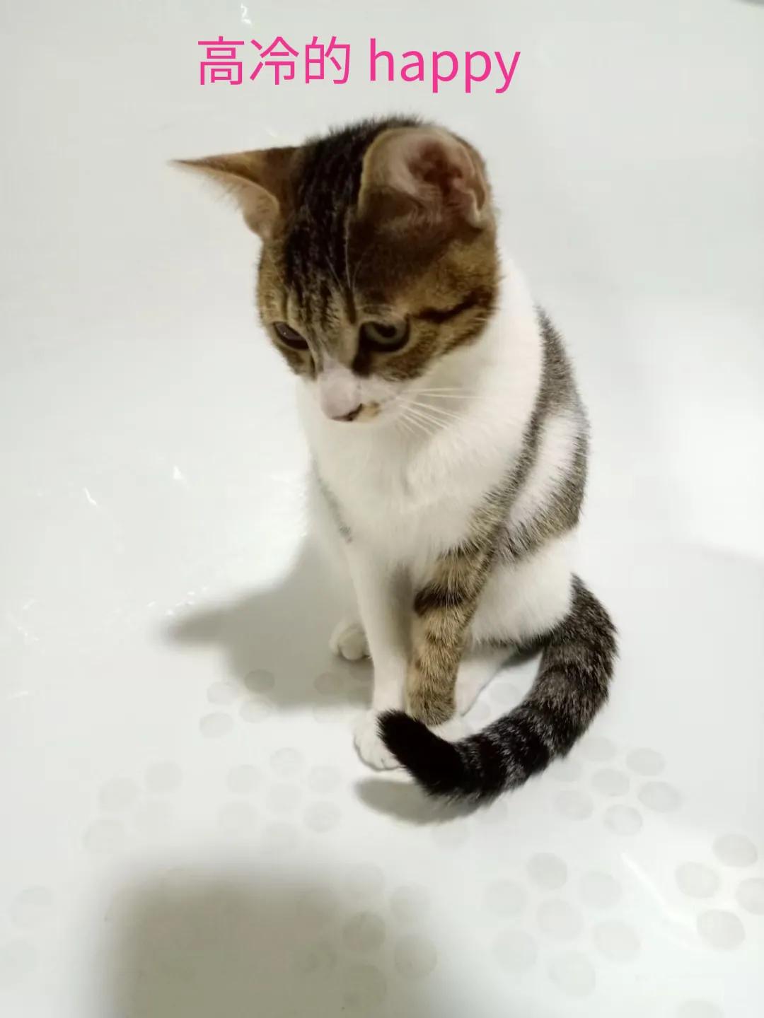 happy鎴戠殑濂冲鎻掓洸,浣爃appy鎴戜篃happy