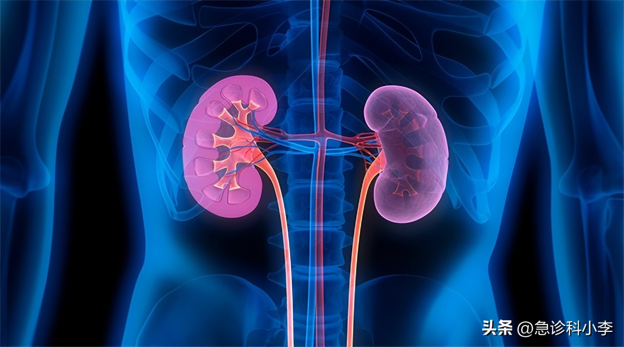 肾衰会小便次数多尿少吗,肾衰前兆