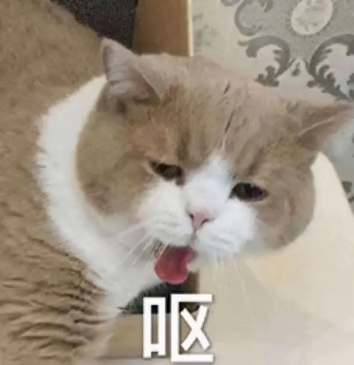 看了315晚会感受,看315晚会感受