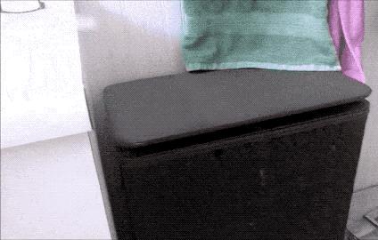 两只猫打架喵星人殊死搏斗满嘴毛,两只猫打架互拔胡子