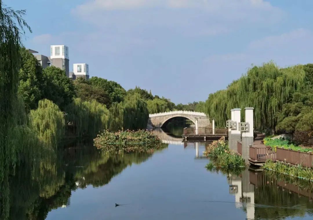 中国药科大学：位于江苏南京，众多与“药”相关的专业该怎么选？