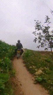 老婆包里发现的卡,老婆牙疼的特效药