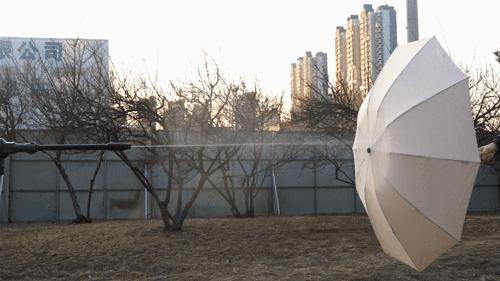 国产伞界“黑马”崛起！突破传统雨伞设计，风雨越大越显厉害