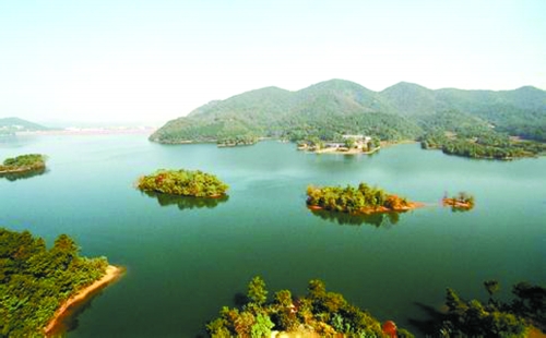 信阳赚钱商机,信阳代理好商机