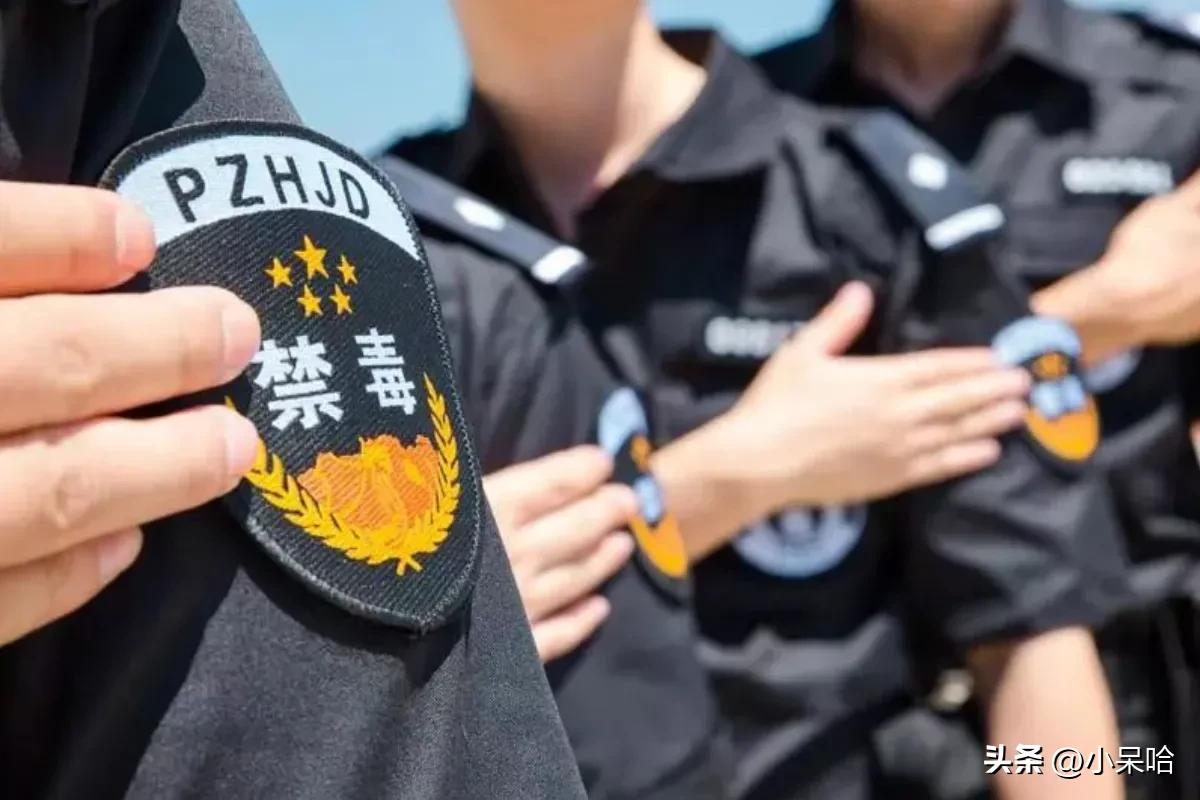 我心中近20年来，最好看的7部缉毒剧，最高评分8.4，无人超越