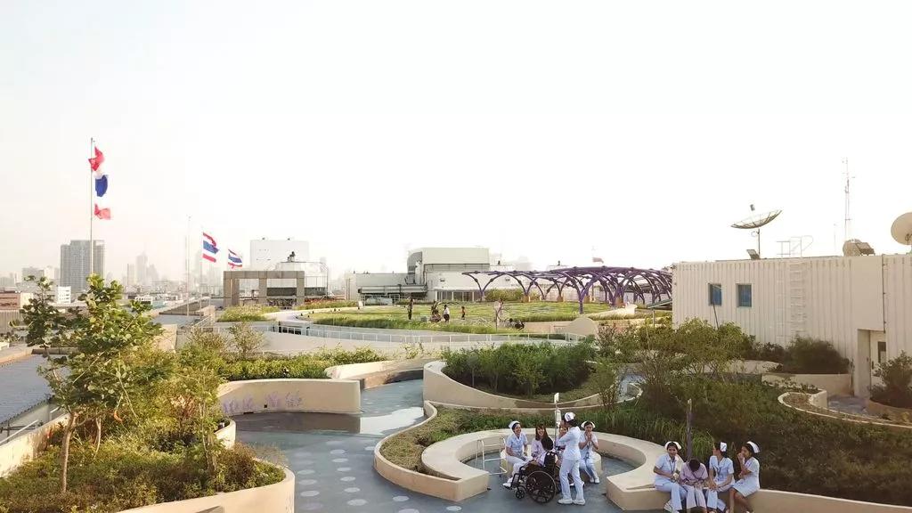 屋顶适合建设哪种绿色屋顶,绿色屋顶建筑