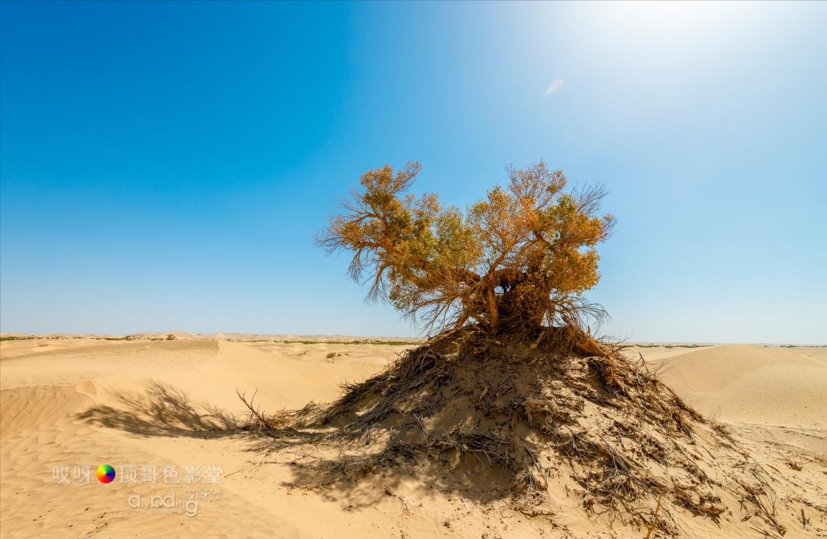 女司机带娃去新疆自驾游,带着女司机自驾游兰州
