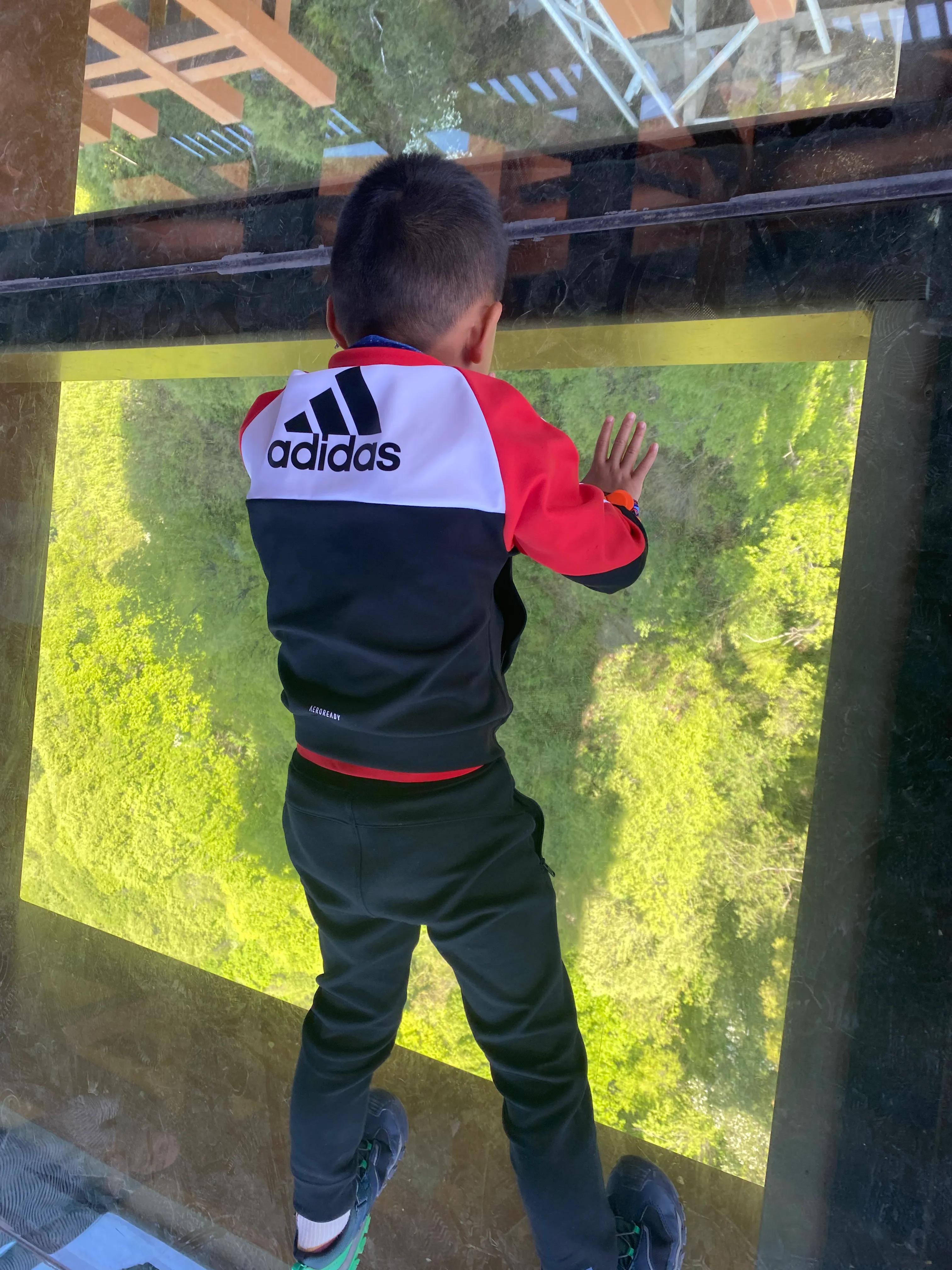 少华山一日游自由行多少钱,华山一日游全程