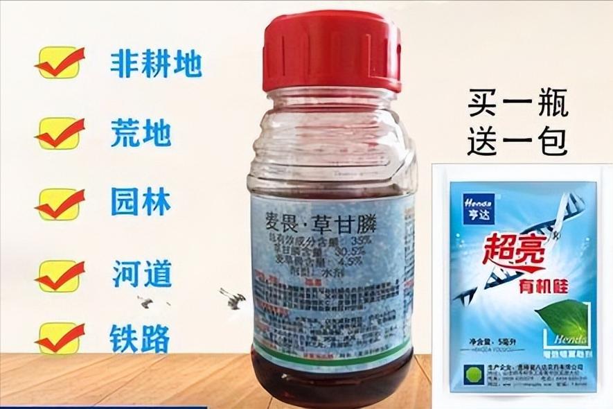 放牧强度对百喜草变草响应的影响