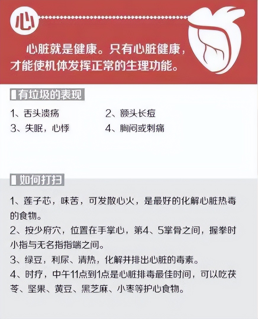 最全的中医五脏六腑的功能介绍,中医专家讲解五脏六腑视频