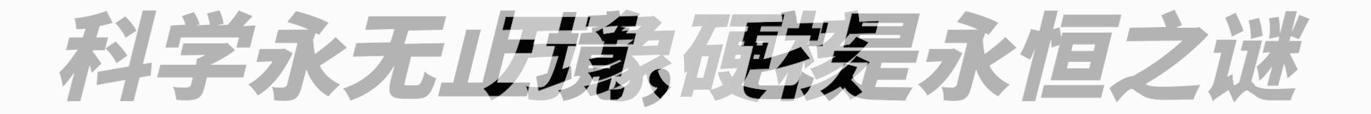 犰狳巴西,犰狳是巴西的国宝吗