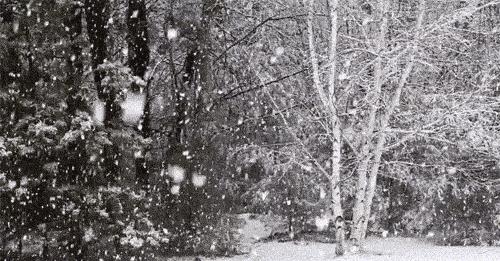 鉴赏古诗终南望余雪,描写雪景的诗句古诗大全