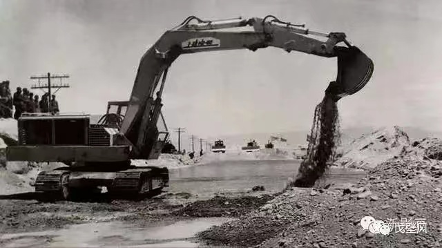 无言的战友（一）作者/齐石