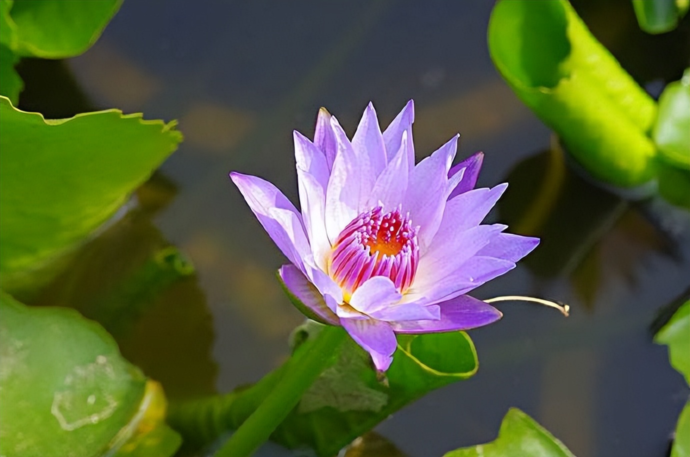 女生称呼情哥哥什么意思,女人对男人称呼她哥哥什么意思