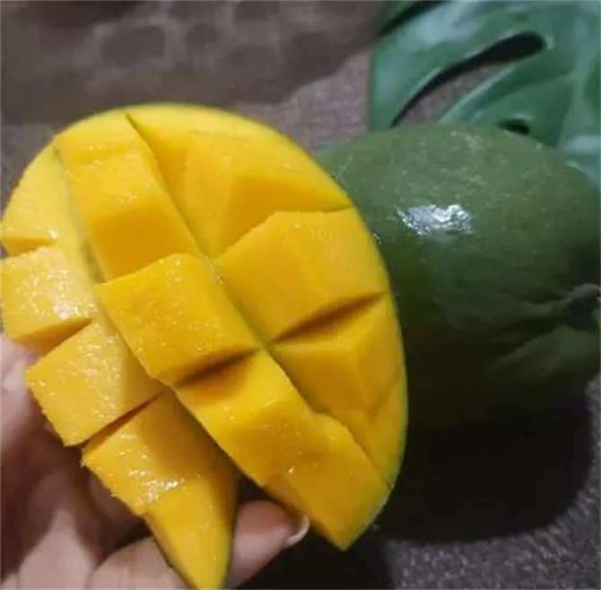 四川攀枝花凯特芒果新鲜大芒果,凯特芒果和椰香芒果有啥区别