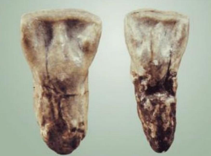 华夏子孙3大特殊印记,华夏儿女的特殊印记