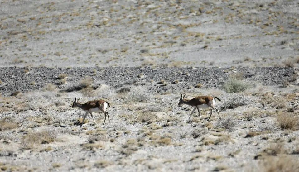 钱卫东姜堰,钱卫东